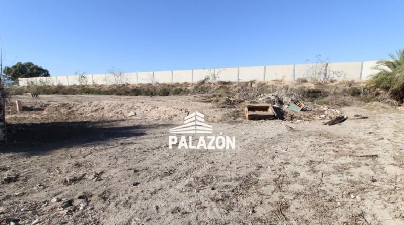 Alicante - Catral - 1900m2