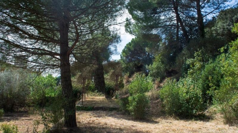 Barcelona - Vacarisses - 1119m2