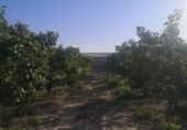 Terreno no urbanizable en venta en la España, Albaida, ref: TR363875 foto