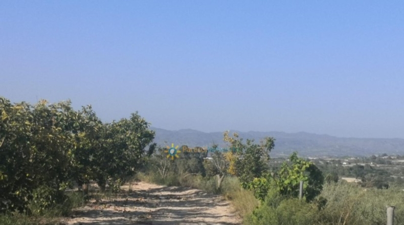 Valencia - Albaida - 33000m2