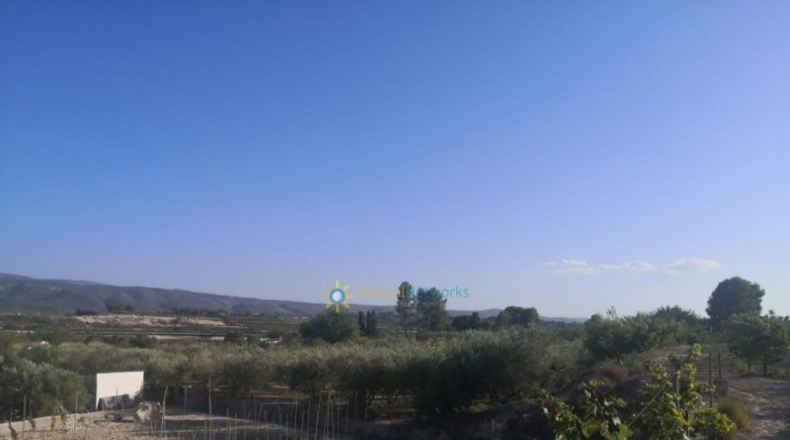 Valencia - Albaida - 33000m2