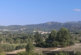 Foto 15