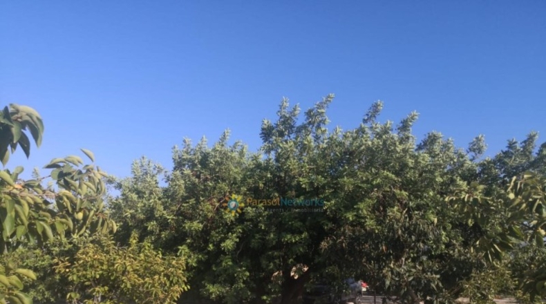 Valencia - Albaida - 33000m2