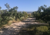 Terreno no urbanizable en venta en la España, Albaida, ref: TR363875 foto