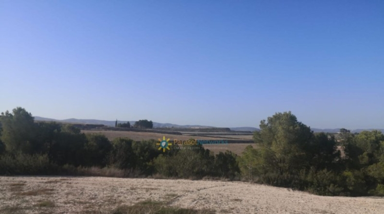 Valencia - Albaida - 33000m2