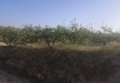 Terreno no urbanizable en venta en la España, Albaida, ref: TR363875 foto