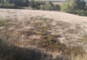 Terreno no urbanizable en venta en la España, Albaida, ref: TR363875 foto