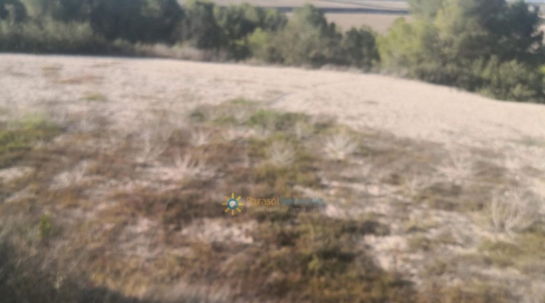 Valencia - Albaida - 33000m2