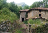Rural estate for sale on España, Dima, ref: TR326838 photo