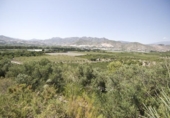 Chalet independiente con terreno en venta en la España, Motril, ref: TR411207 foto