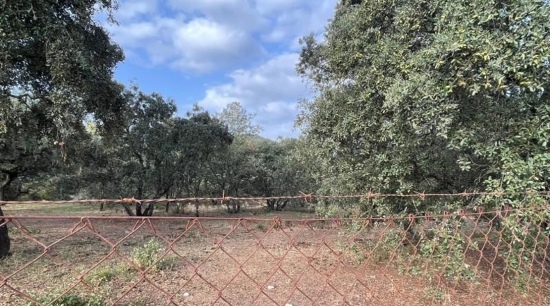 Кордова - Obejo - 1500m2