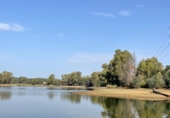 Non-developable land for sale on España, Estación de Obejo, ref: TR393550 photo