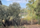 Non-developable land for sale on España, Estación de Obejo, ref: TR393550 photo