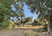Non-developable land for sale on España, Estación de Obejo, ref: TR393550 photo