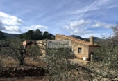 Casa de campo con terreno en venta en la España, el Perelló, ref: TR386965 foto