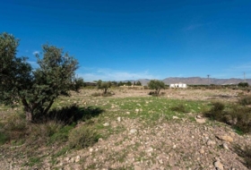 San Isidro de Níjar 10000&nbsp;m²