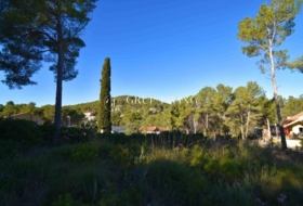 Olivella 1356&nbsp;m²