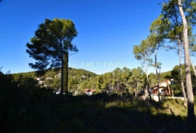 Olivella 1356&nbsp;m²