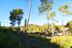 Olivella 1356&nbsp;m²