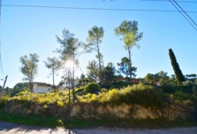 Olivella 1356&nbsp;m²