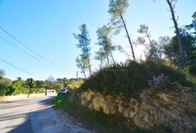 Olivella 1356&nbsp;m²