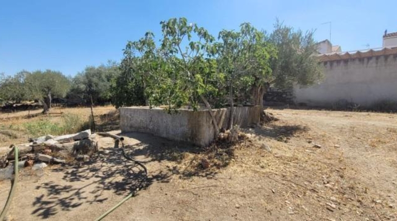 Córdoba - Villanueva del Duque - 1791m2