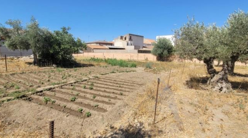 Córdoba - Villanueva del Duque - 1791m2
