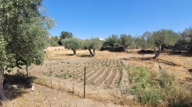Córdoba - Villanueva del Duque - 1791m2