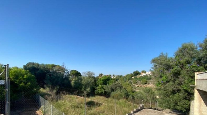 Valencia - Alcira - 1053m2