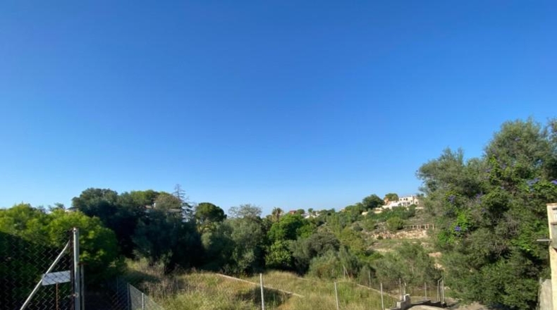 Valencia - Alcira - 1053m2