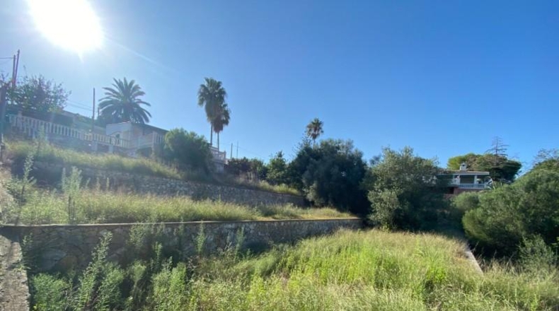 Valencia - Alcira - 1053m2