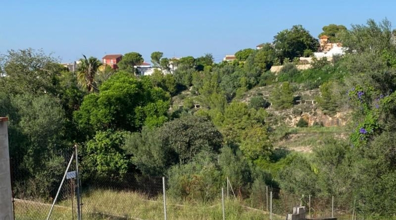 Valencia - Alcira - 1053m2