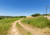 Terreno no urbanizable en venta en la España, Saus, ref: TR130164 foto