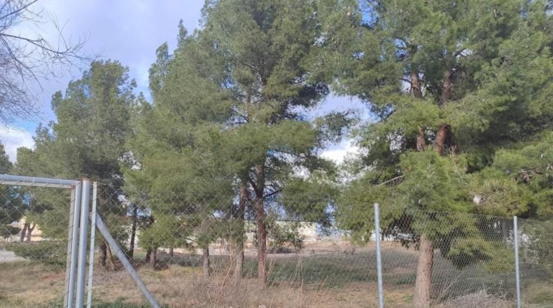 León - Almanza - 400m2