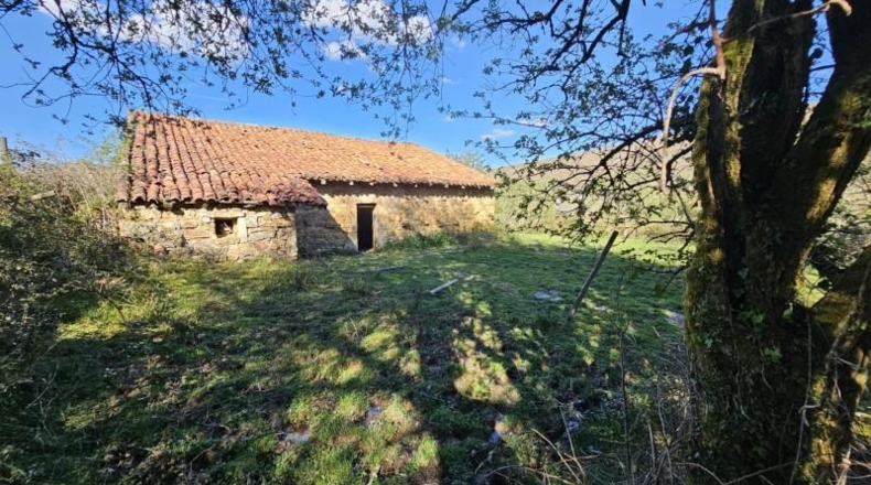 Cantabria - Valle - 9511m2