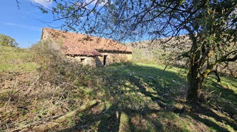 Cantabria - Valle - 9511m2