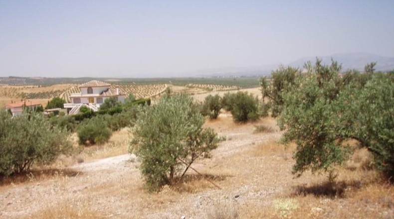 Granada - Gabia Grande - 6000m2