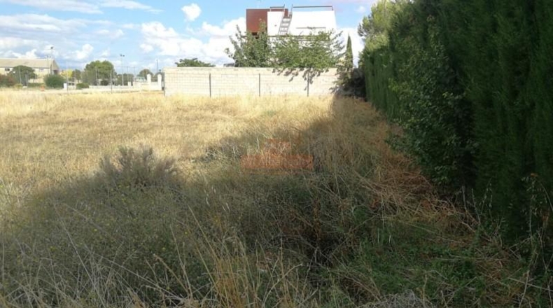 Albacete - La Felipa - 906m2