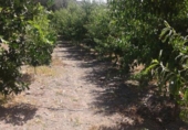 Terreno no urbanizable en venta en la España, Válor, ref: TR114697 foto
