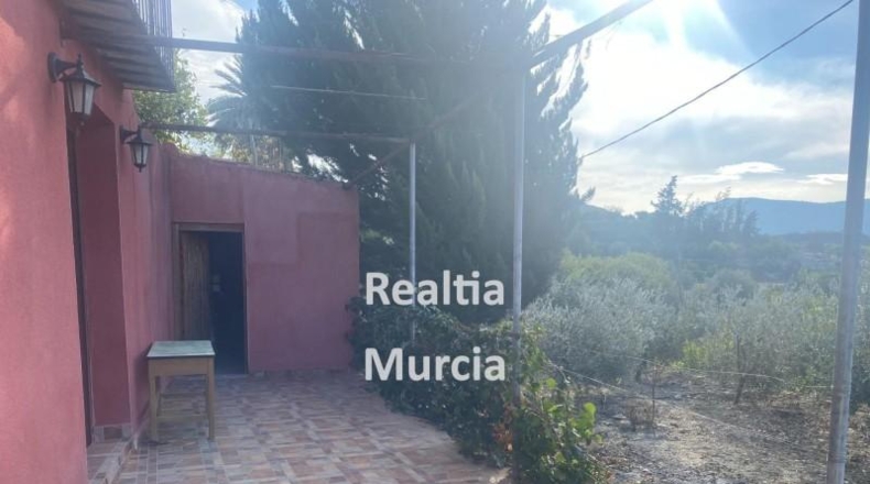 Murcia - Blanca - 5000m2