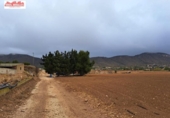 Casa de campo con terreno en venta en la España, Hondón de las Nieves, ref: TR399702 foto