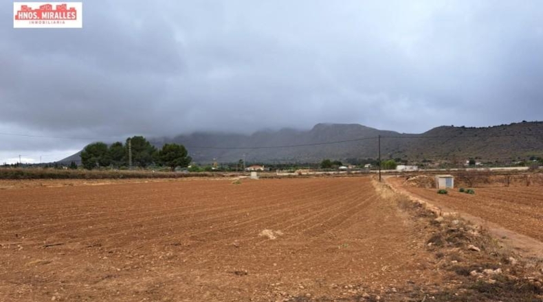 Alicante - Hondón de las Nieves - 15000m2
