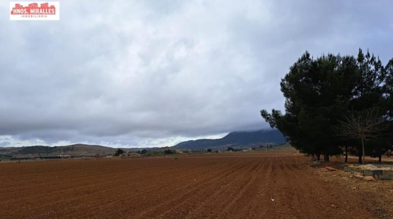 Alicante - Hondón de las Nieves - 15000m2