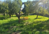 Casa de camp amb terreny en venda a la España, Lugo, ref.: TR356733 foto