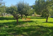 Casa de camp amb terreny en venda a la España, Lugo, ref.: TR356733 foto