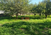 Casa de camp amb terreny en venda a la España, Lugo, ref.: TR356733 foto