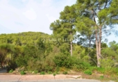 Suelo urbano en venta en la España, Olivella, ref: TR388576 foto