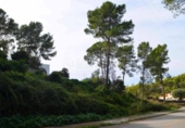 Suelo urbano en venta en la España, Olivella, ref: TR388576 foto