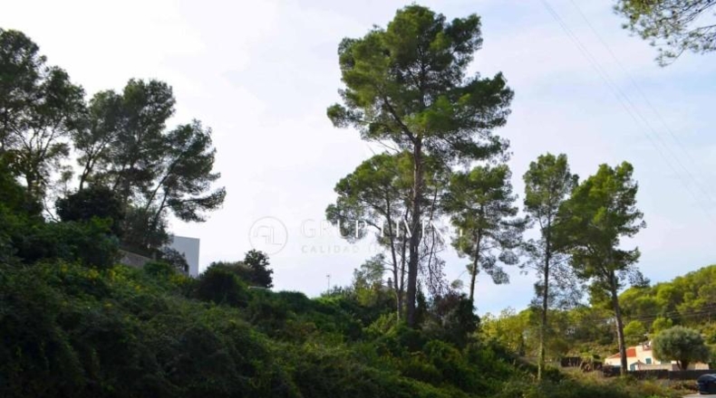 Барселона - Olivella - 1196m2