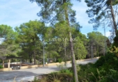 Suelo urbano en venta en la España, Olivella, ref: TR388576 foto